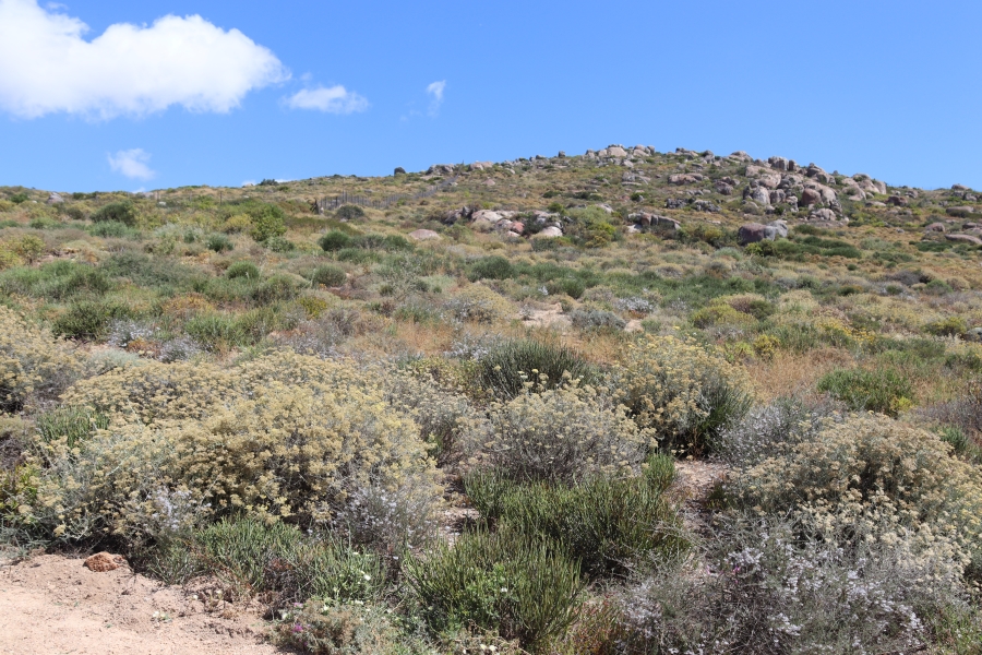 0 Bedroom Property for Sale in St Helena Views Western Cape